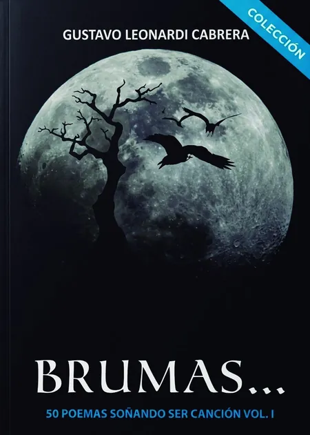 Portada de Brumas... de un pasado salvaje